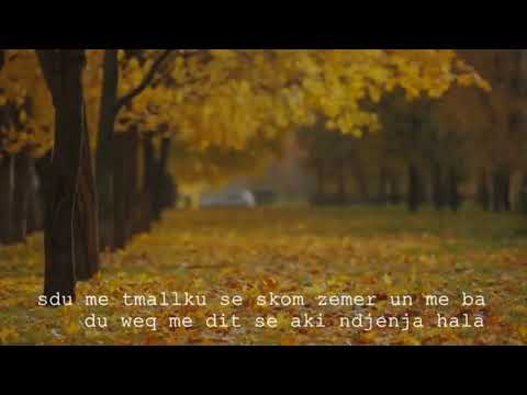 lonnii x resul-smuj me mohu