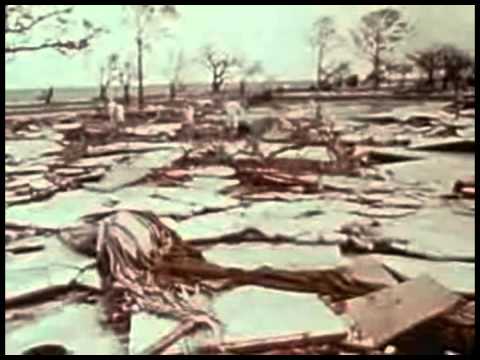 Other People (Dave Ball)  -  Have a Nice Day