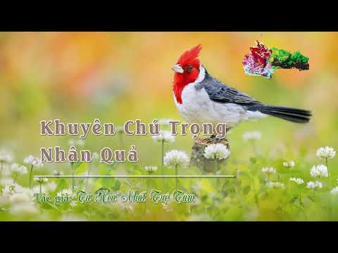 Chương 04: Khuyên Chú Trọng Nhân Quả