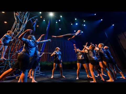 Dogs in the Schoolyard | Flipside Circus