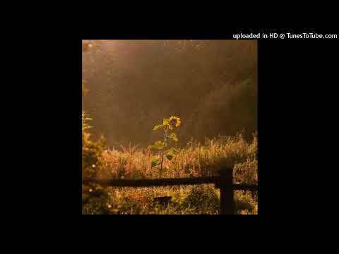 nanokosmos - And Less Mist