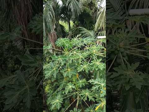 Nature and natural beauty