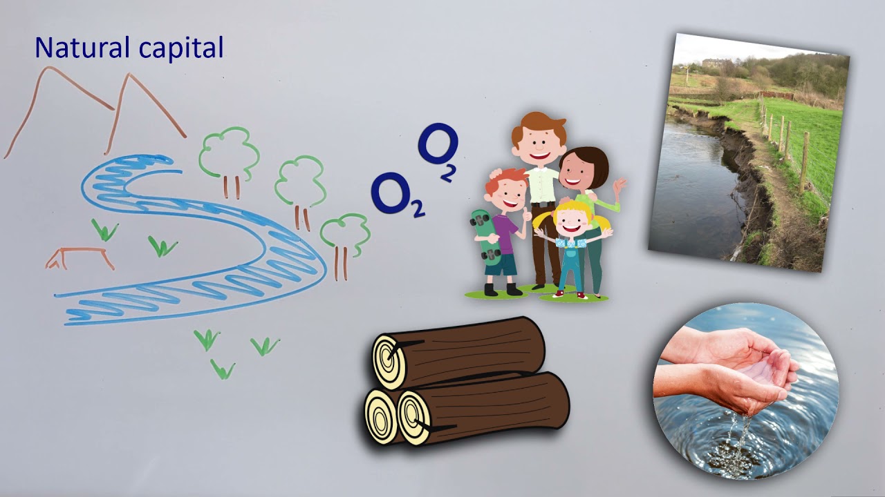 Natural Capital Explained