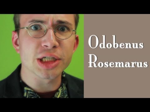 Odobenus Rosmarus - a Science Project