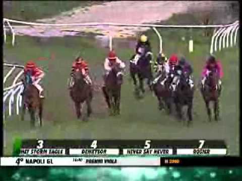 28/02/2014, Napoli , Premio Viola