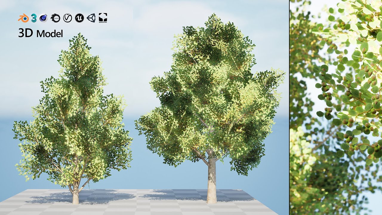 Game Ready Hazelnut Trees 3D Model