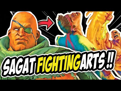 This Is Why SAGAT Is So Unique...Street Fighter