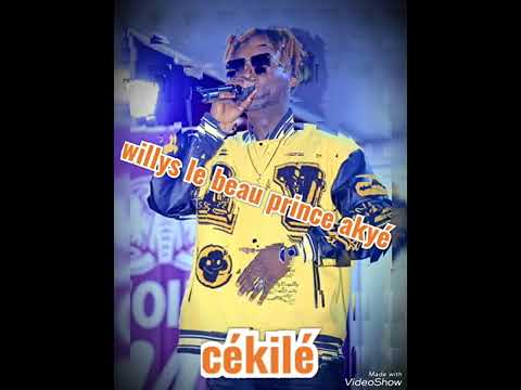 WILLYS DJ CÉKILÉ DANCE 2024