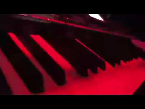 Sandra Afrika uzivo nastup