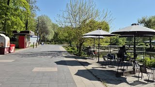 Запорожье ДЕНЬ ПОСЛЕ МАССИРОВНОГО ОБСТРЕЛА ГОРОДУ 06.05.2026