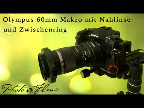 60mm Makro von Olympus mit Zwischenring und Nahlinse
