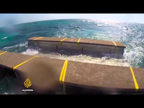 Swimming with Sharks