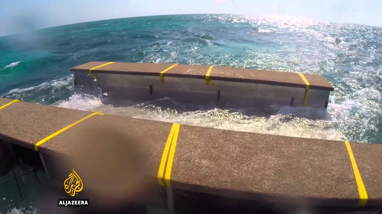 Swimming with Sharks