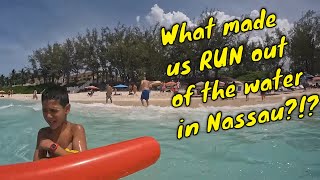 Attacked in Nassau | Cabbage Beach | WARNING!! | Day 4 Royal Caribbean Oasis of the Seas
