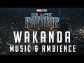 Black Panther Music Ambience Wakanda The Golden City Nighttime Thunderstorm