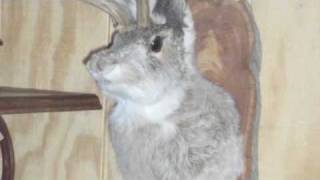 JAKALOPE OVERDOSE OF DOPENESS