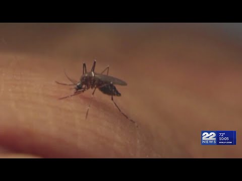 Massachusetts reports more West Nile virus infections