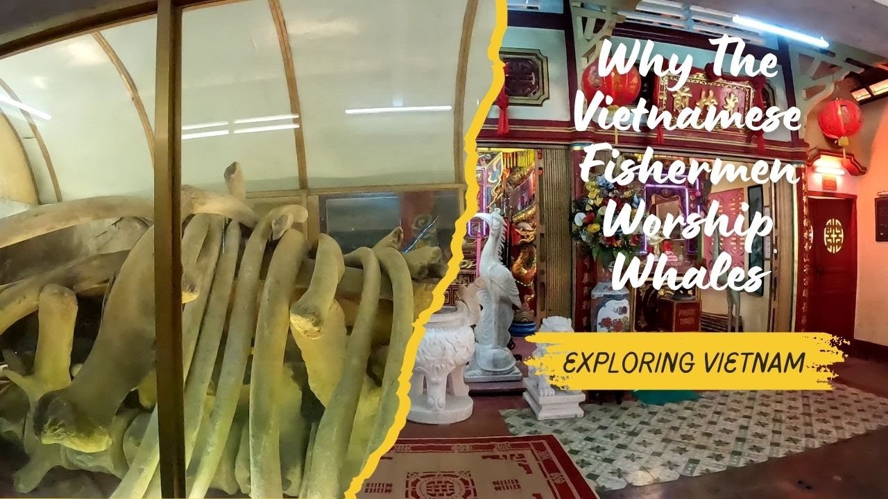A traveler explores whale temple in this video.