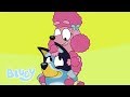You Can T Change The Rules Coco Shadowlands Bluey