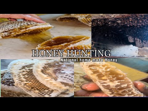 Hunting Nepal's Mad Honey That Makes You Hallucinate -  NATIONAL HONEY 🍯