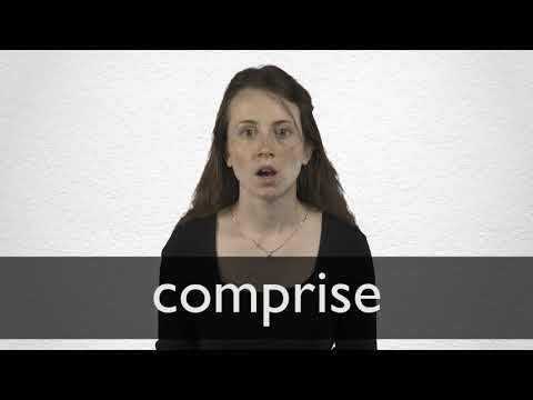 Comprise Definition And Meaning Collins English Dictionary