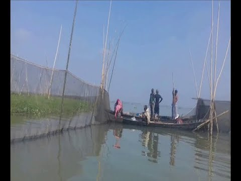 ব্রক্ষপুত্র নদ দখল করে মাছের ঘের