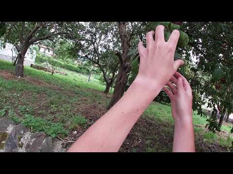 Tineo, naturaleza a la carta. #TineoTeEspera