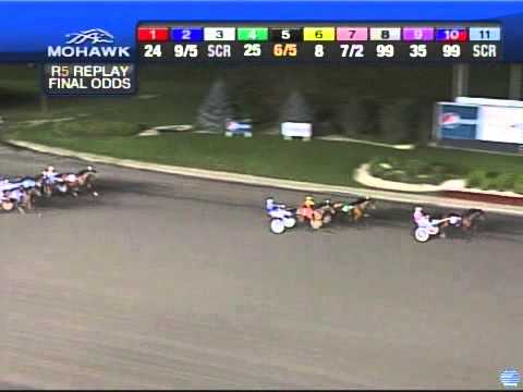 2013 Peaceful Way Stakes - theharnessedge.com