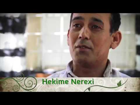 Hekim Nerexi-le le buke