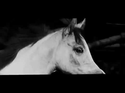 Rihanna FM by SHANGHAI EA & FM NEFERTARI