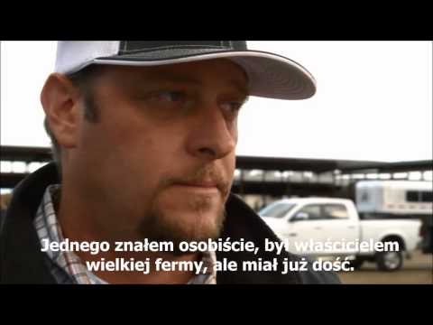 Największa fabryka sera