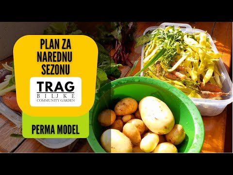 NEXT SEASON PLAN (2022) [TRACE OF THE PLANT]