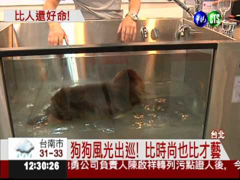 台北寵物用品展 狗狗大駕光臨