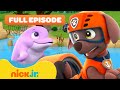 PAW Patrol Pups Pups Save A Dolphin Pup W Zuma FULL EPISODE Nick Jr
