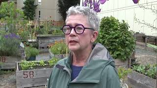 Victoria city council seeks to convert Johnson Parkade into a rooftop garden
