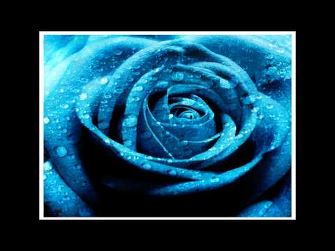 Roses by Lomaticc Sunny Brown and Baba Khan (Lyrics)