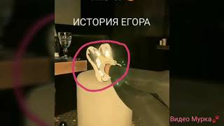 ДЕВУШКА ЕГОРА КРИДА не ДАША! ДОКАЗАТЕЛЬСТВА ОТНОШЕНИЙ с АНЕЙ!