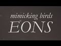 Mimicking Birds // Eons // Out 5.13.14 