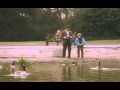 Mr Bean S Picnic