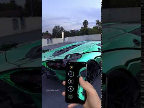 Chrome Lamborghini Sian