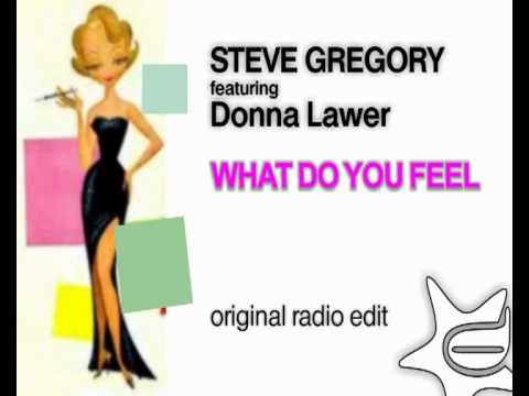 Steve Gregory feat. Donna Lawer - What Do You Feel (Radio Edit) - Club house music mix