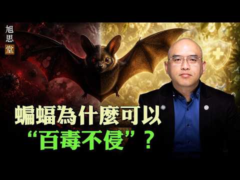 蝙蝠是&ldquo;福&rdquo;還是&ldquo;伏&rdquo;？ 是吉祥物還是惡魔？ 為什麼東西方對其理解差異巨大？ 為何蝙蝠可以&ldquo;百毒不侵&rdquo;，人類卻面臨致命免疫風暴？揭開伊波拉等病毒背後的生態界線與造物主設計，這是關乎貪婪與敬畏的警告！