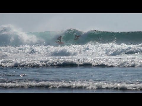Boog Assassin Takes Down Surfer - Uluwatu, 13 July 2019