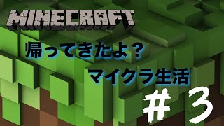 【マインクラフト】Re：マイクラ生活＃３