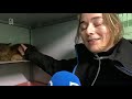 Jozef viert Kerstmis in Vlaardings asiel