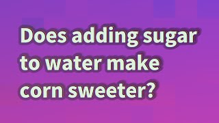 Does adding sugar to water make corn sweeter?