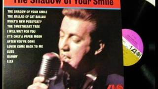The Shadow of Your Smile Music Video
