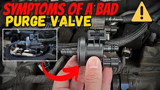 7 common symptoms of a bad purge valve, (Don’t Ignore These!)