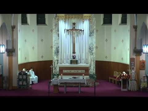 Holy Mass - November 23, 2025
