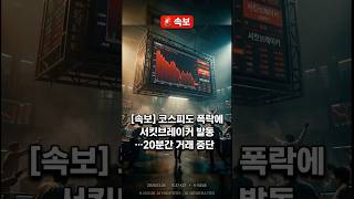 🚨 03/04 코스피도 폭락에 서킷브레이커 발동…20분간 거래 중단